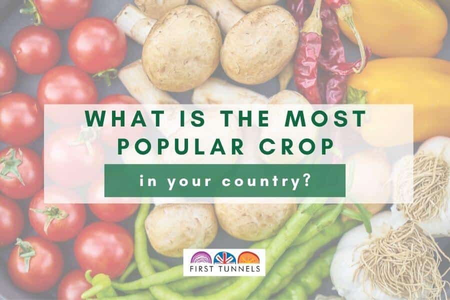 popular crops featured