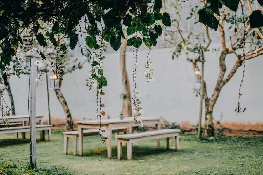 empty garden with benches and lights