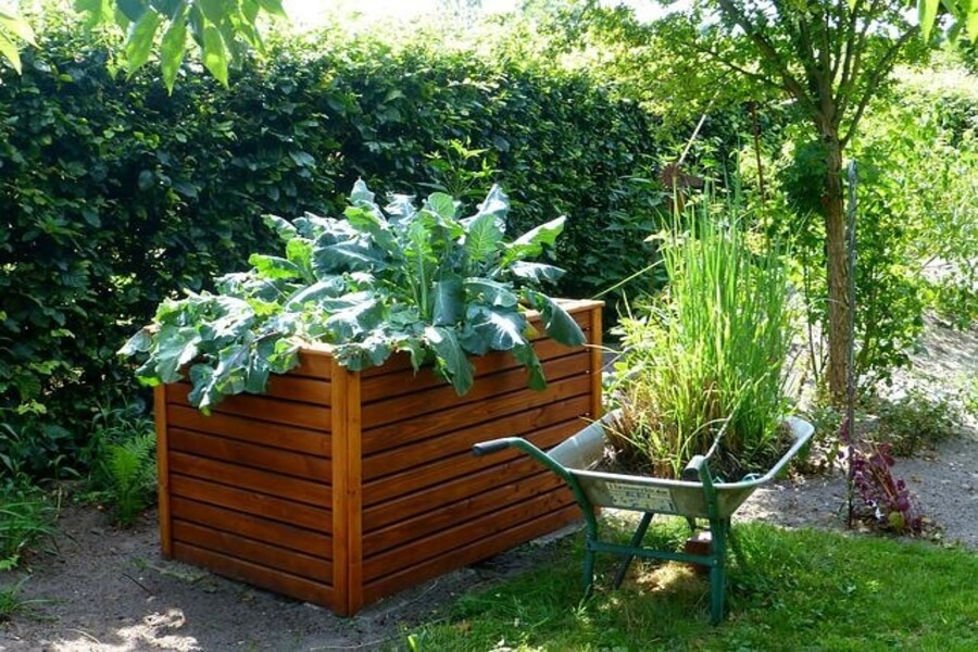 a raised bed garden