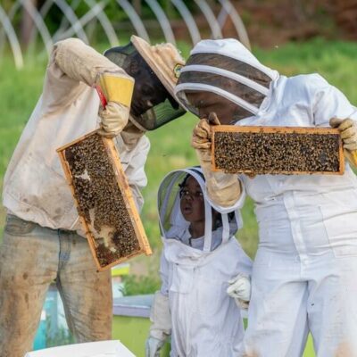 beekeeping family checking their bee hive