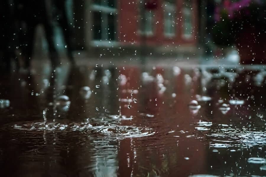 Rain