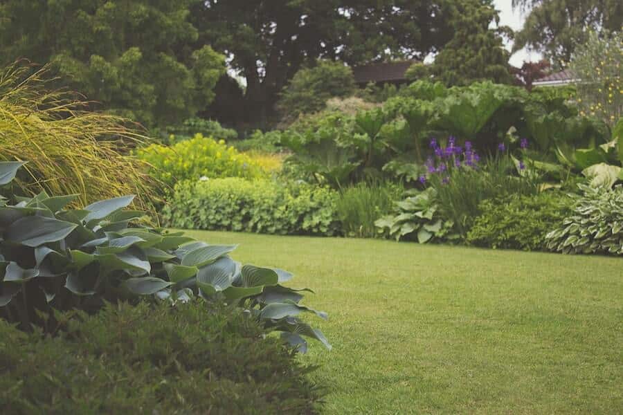 a garden thriving despite garden flooding