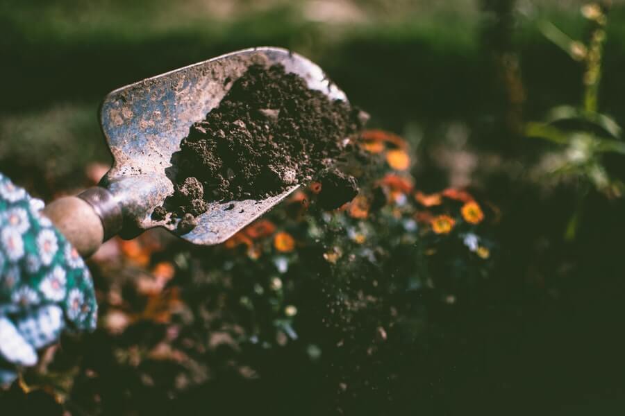 spreading mulch 1