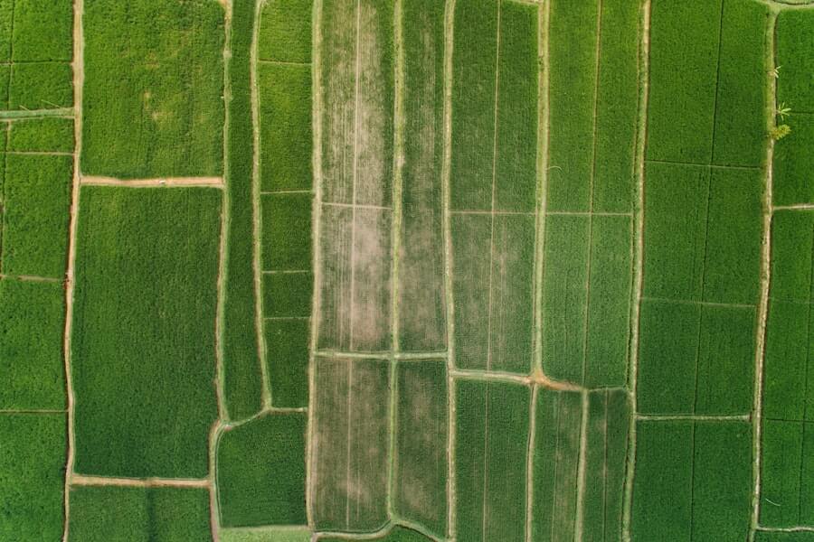 nature patterns in a sustainable garden design
