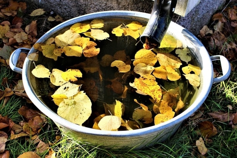 a rain water butt for gardening preparation