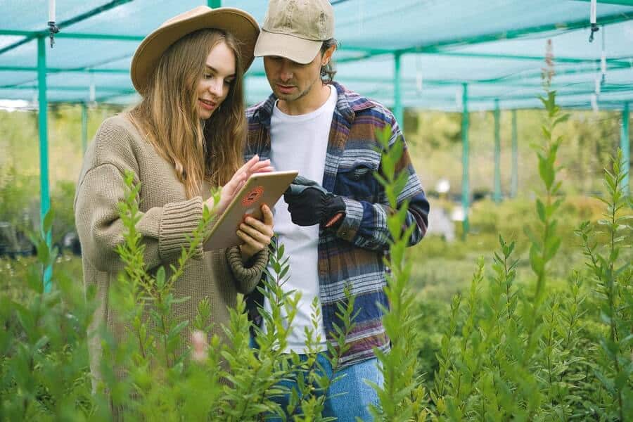 gardeners deciding what to grow in a polytunnel