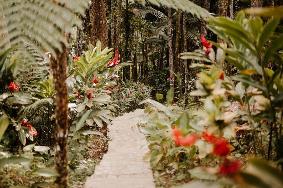pathway in a potager garden