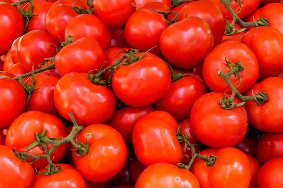 tomatoes