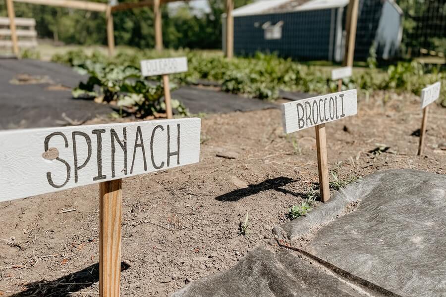 vegetable labels in a potager garden