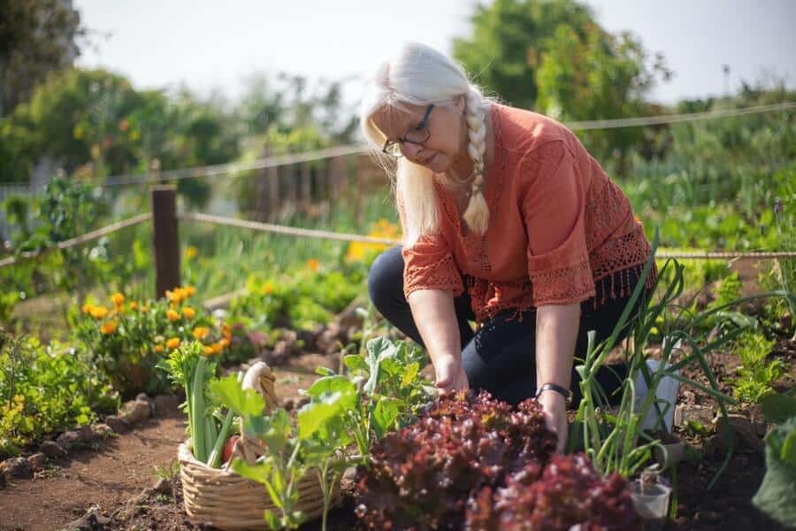woman working in a potager garden