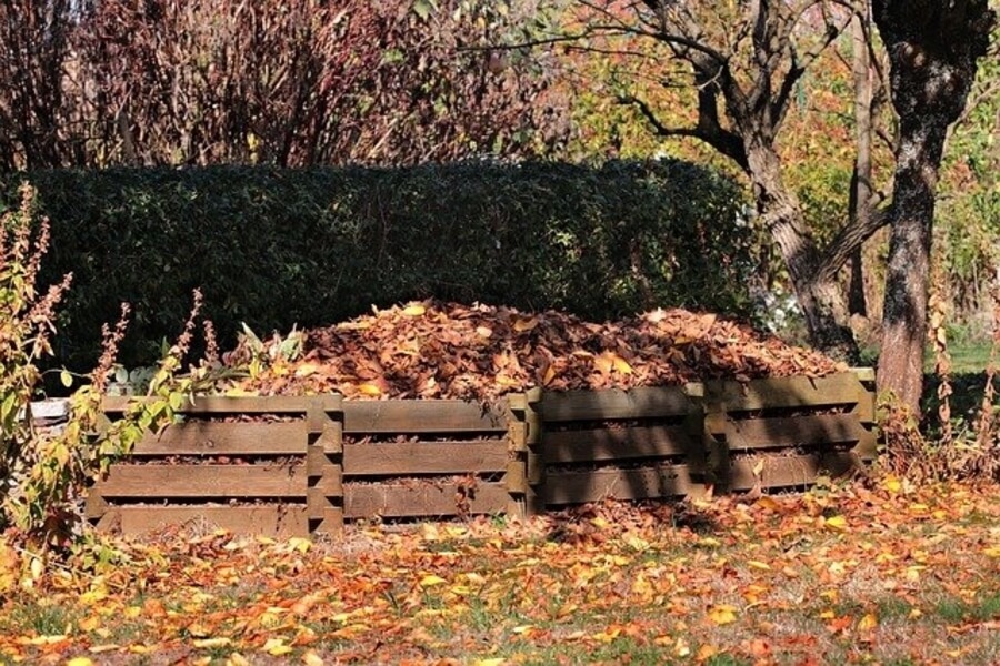 a compost heap with leaves