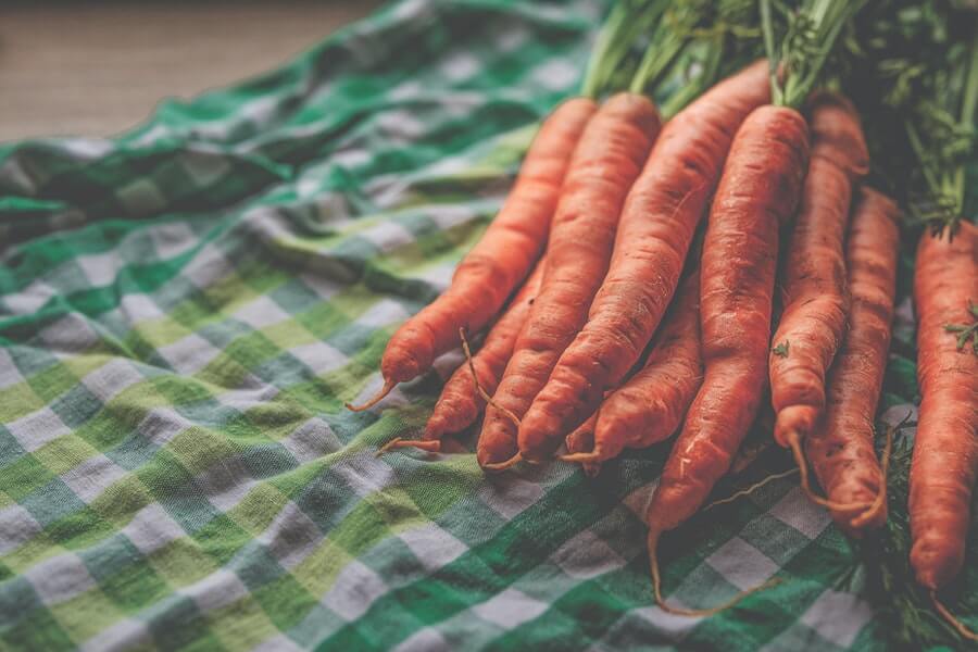 bunch of carrots grown in containers