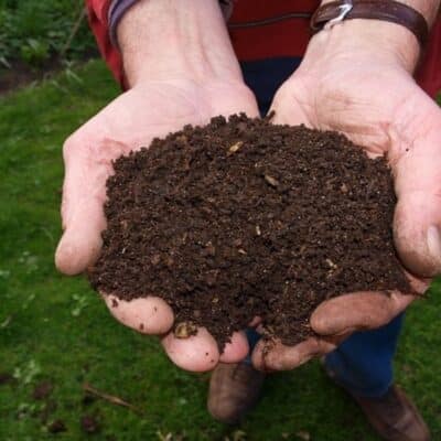 a gardener holding compost