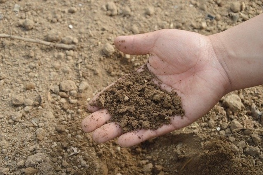 hands holding soil