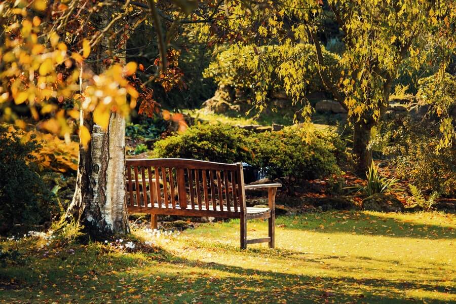 sloping garden with bench