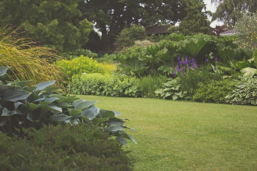 sloping garden