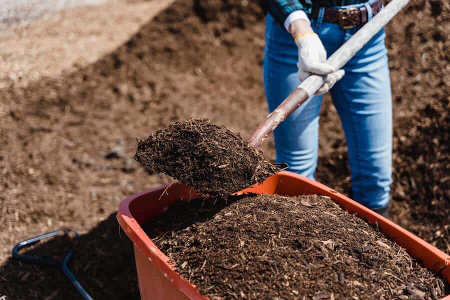 someone applying compost