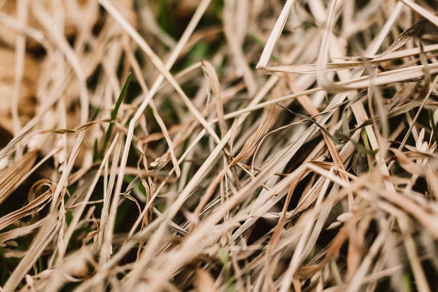 straw is good for fungal compost