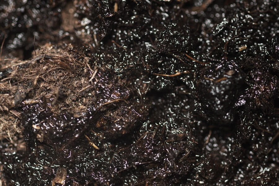 wet compost