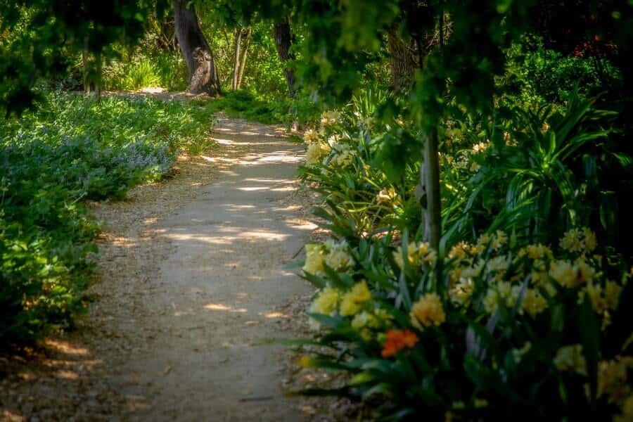 garden path