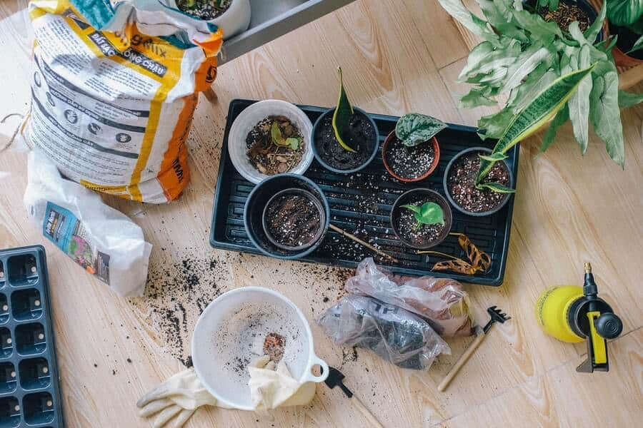 gardening tools for growing a tomato plant