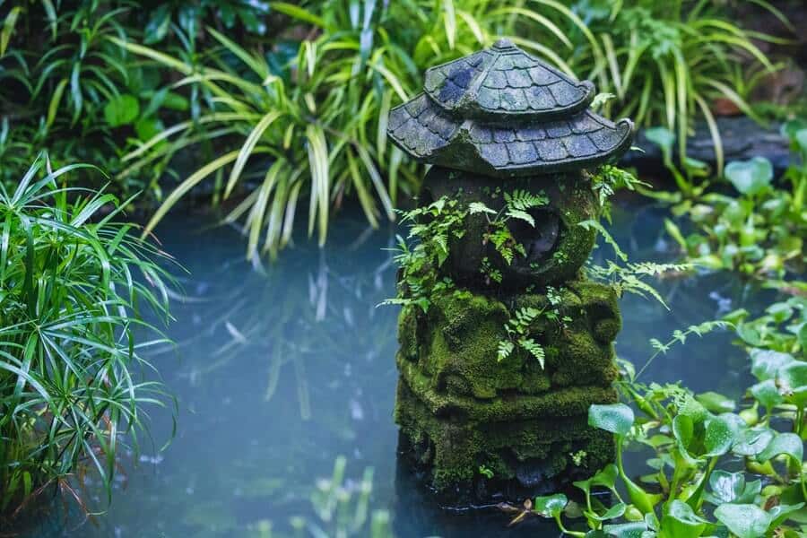 a small pond used to catch April showers from outdoor structures