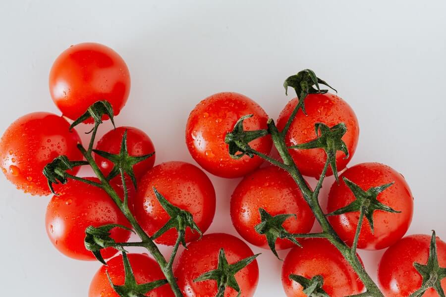 tomato vines