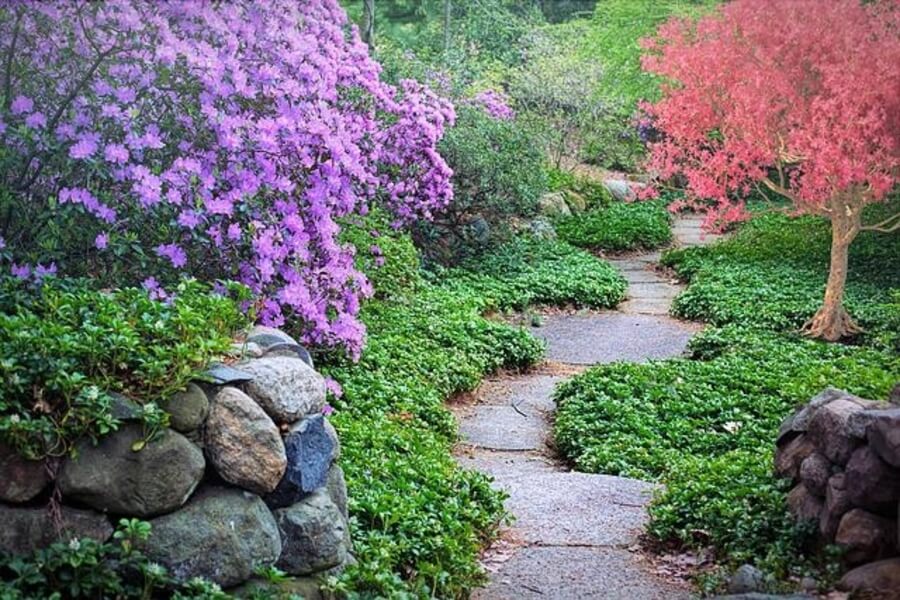 a garden pathway with trees good for windy garden solutions