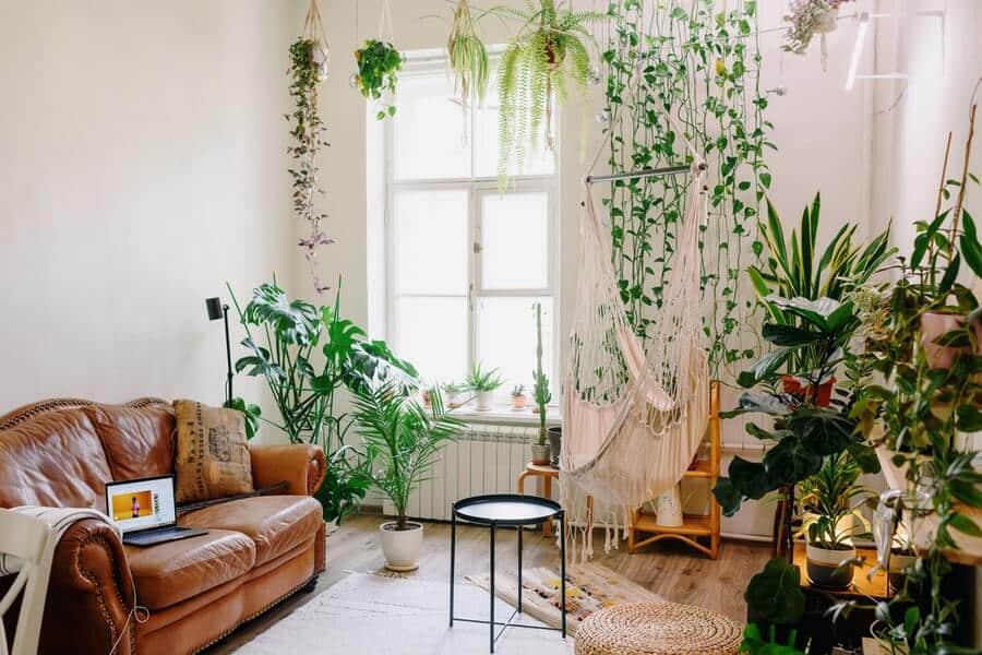 living room with indoor plants