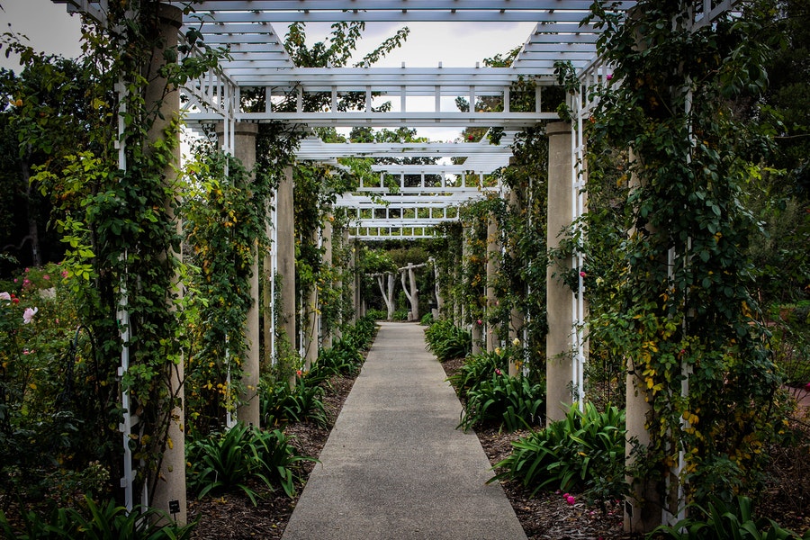 trellis ideas for vegetable gardens with pathways