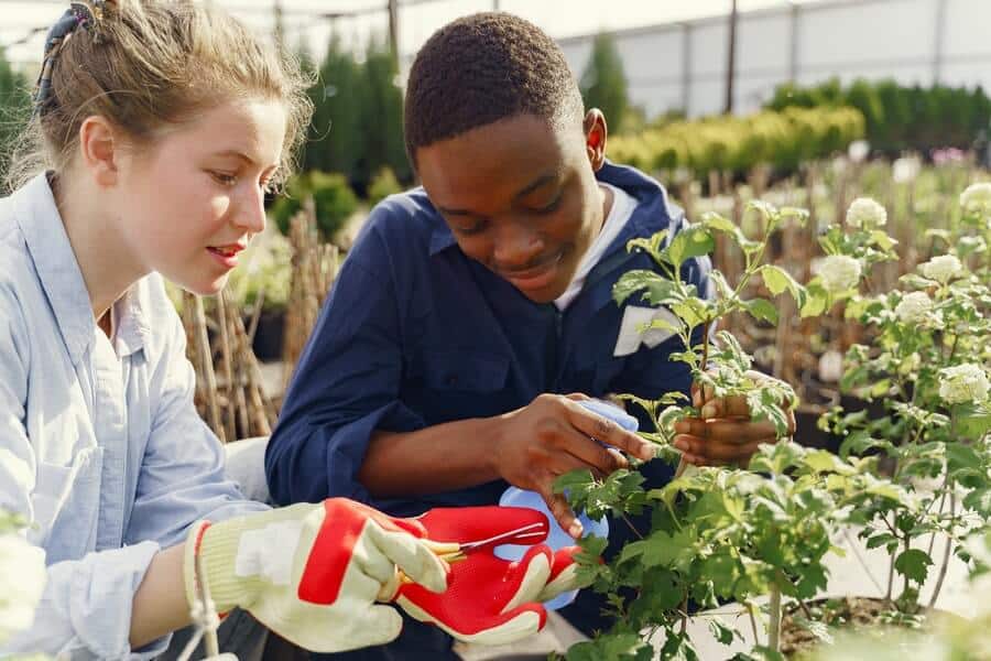 children pruning plants in a windy garden