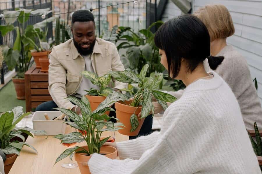 people with balcony gardens taking part in share your garden and exchanging potted plants