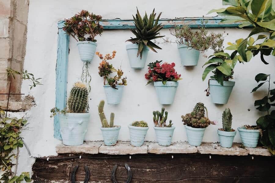 vertical gardening indoors
