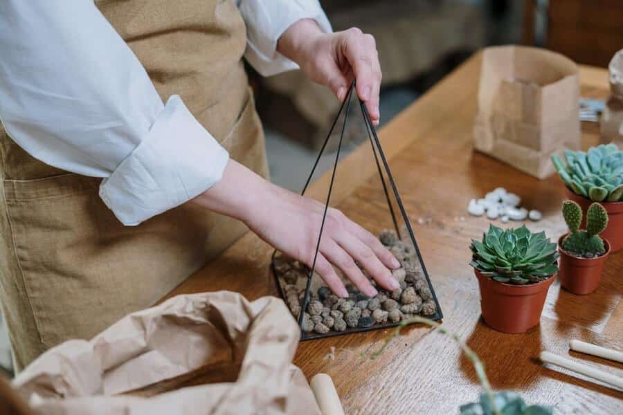 woman preparing indoor plants for planting