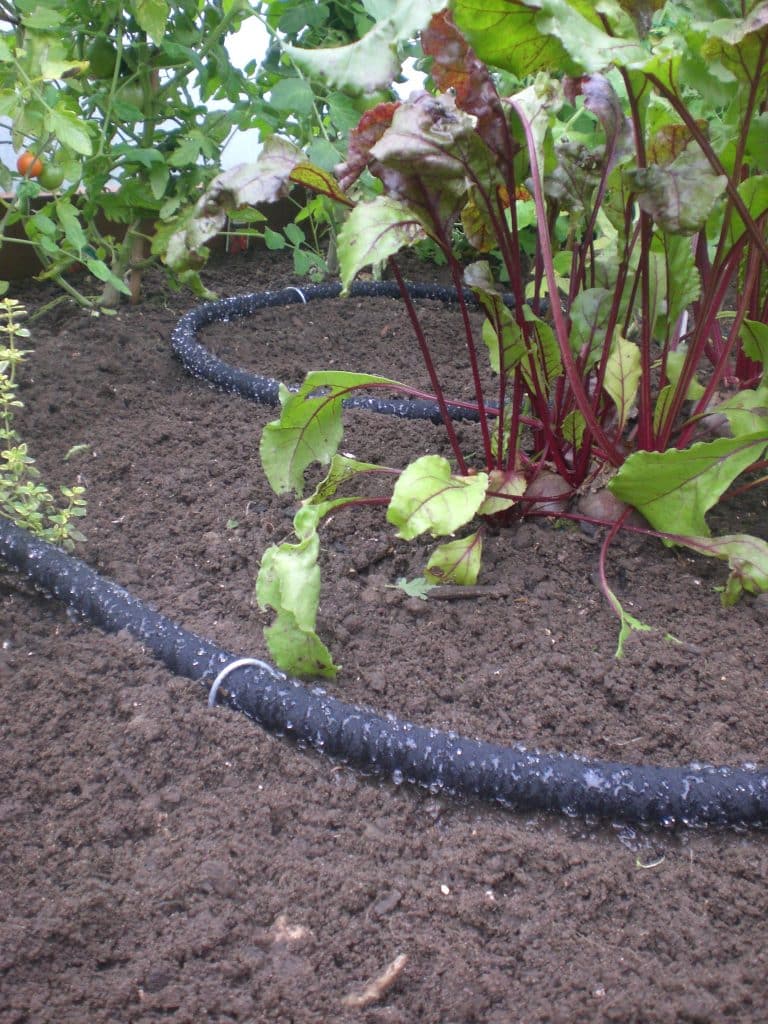 Soaker Hose Irrigation drip feeds water to where it is required.