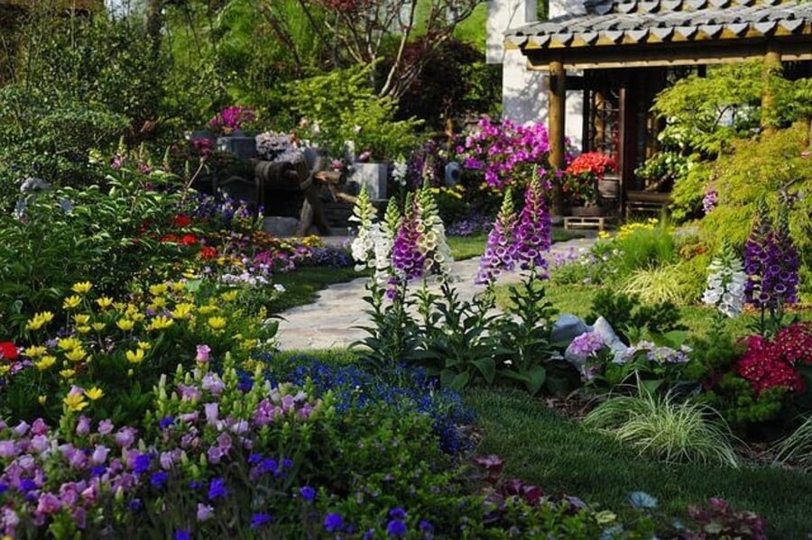 a low maintenance garden at the back of a house