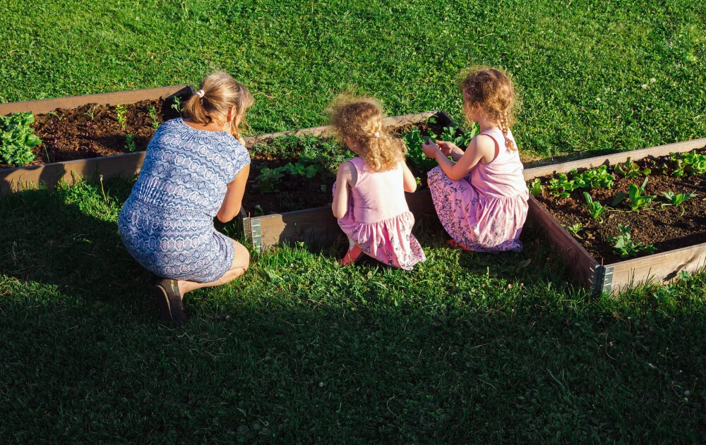 children working on an outdoor raised bed herb garden
