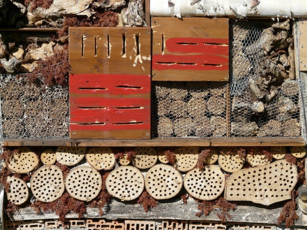 Welcome in wildlife for a low maintenance garden.