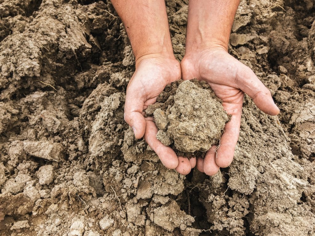 Compacted soil