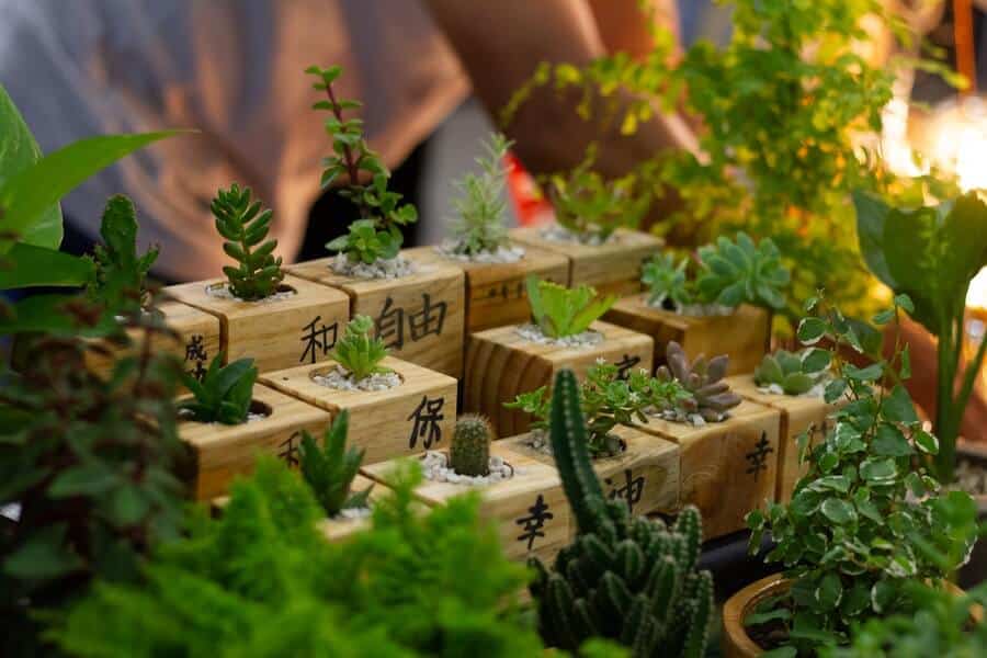 small outdoor herb garden