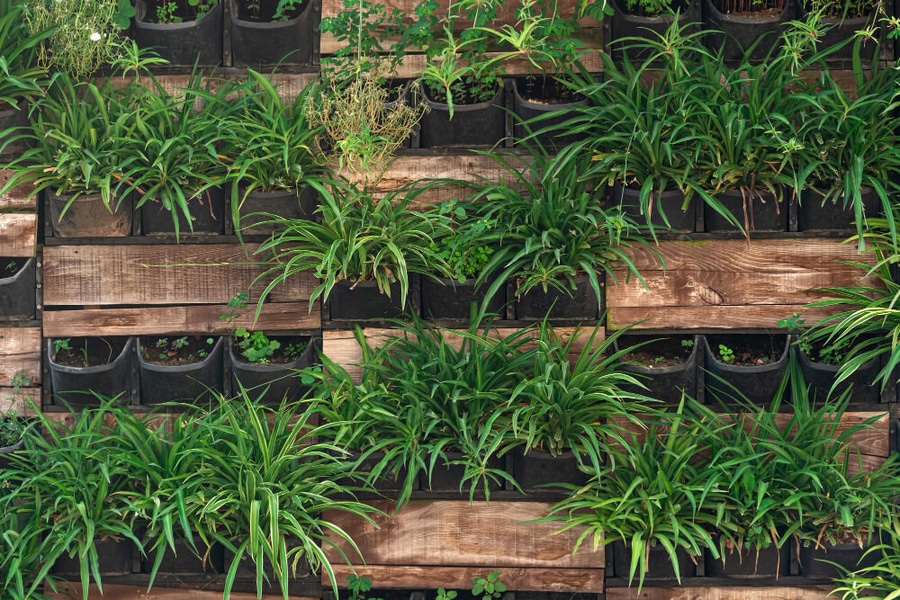 a vertical outdoor herb garden
