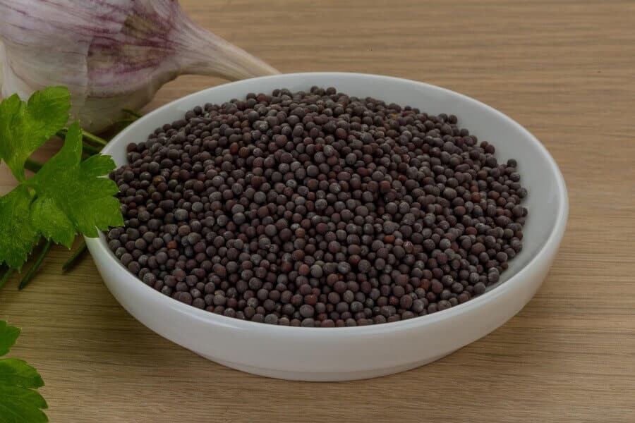 black mustard brassica seeds