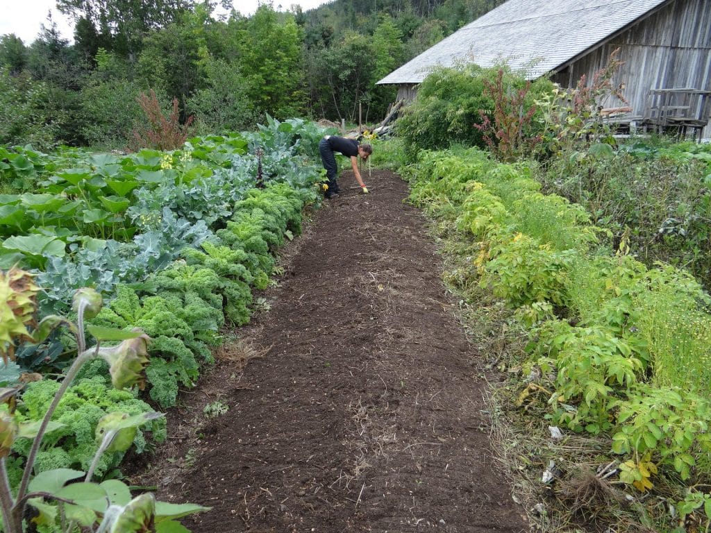 Gardening naturally means working with nature to achieve your goals.