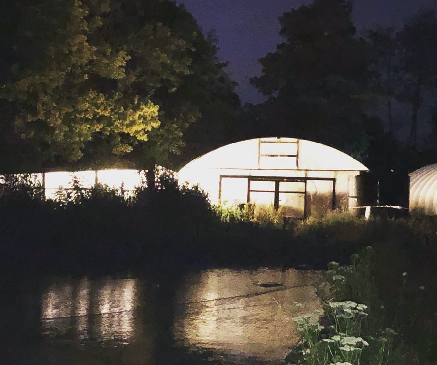 Koi ponds at night