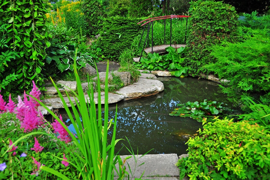 a large garden pond surrounded by plants full of UK pond fish