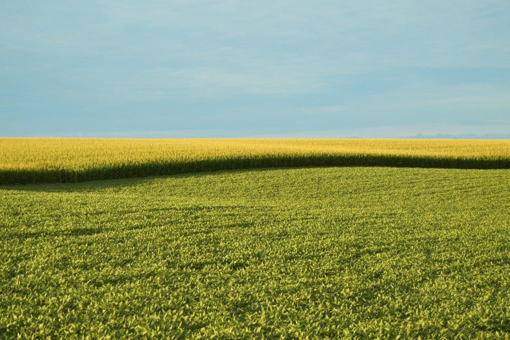 farm field gdc0a1b8b3 1920