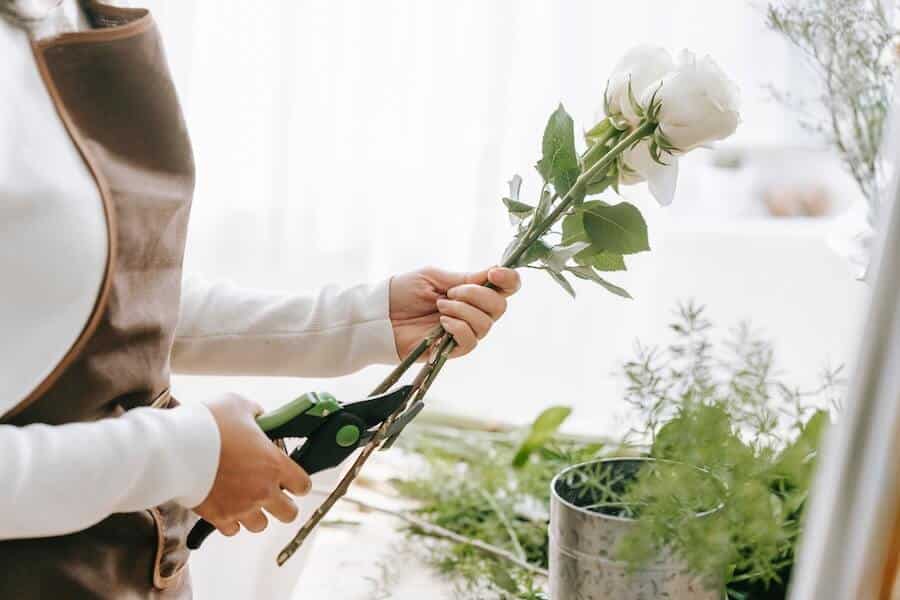 gardener using pruning shears from an essential garden tools list