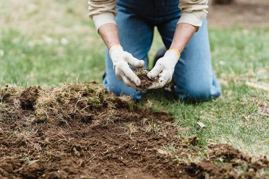 gardener wearing gardening gloves from a garden tools list