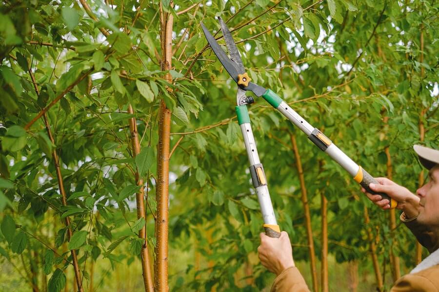 garden tools list tree loppers