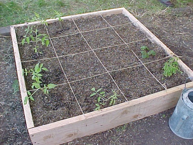 a square foot garden plan on a raised bed